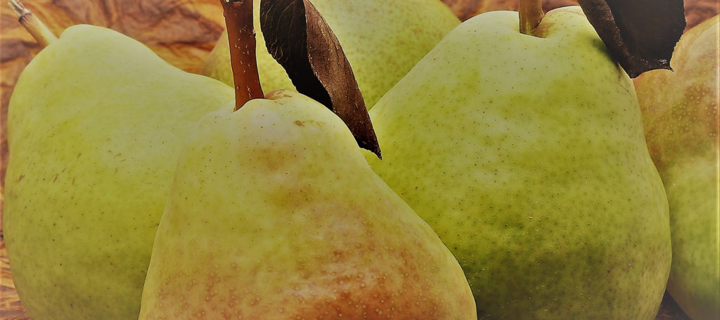Banner Fresh Pears