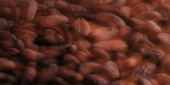 Single Origin Cocoa Beans