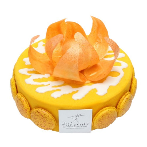 Cirque Du Soleil Cake - Designer Cake Shop