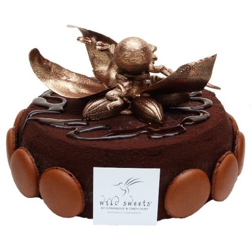 Sacher Hazelnut Gateau - Designer Cake Shop